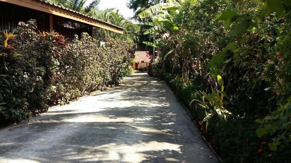 Subtawee Resort Surat Thani Dış mekan fotoğraf